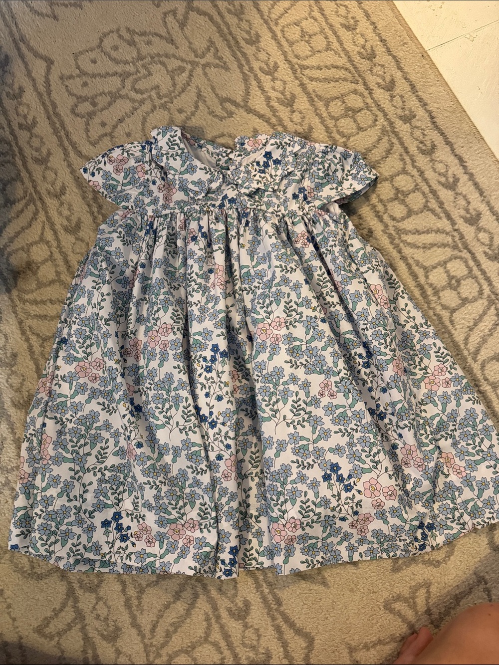 Cecil & Lou Girls Blue Floral Cotton Dress